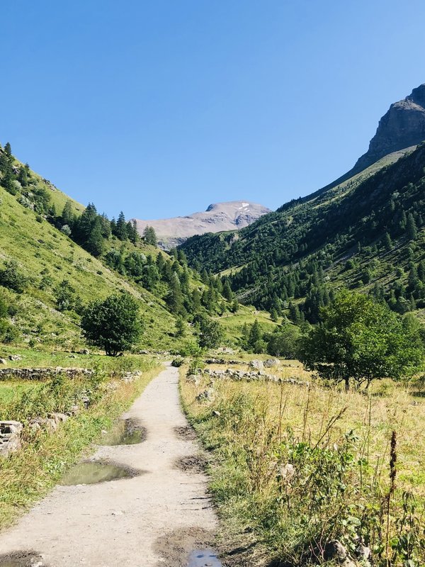 Quelles sont les meilleures pratiques pour des cheveux lisses sans utiliser de chaleur ?